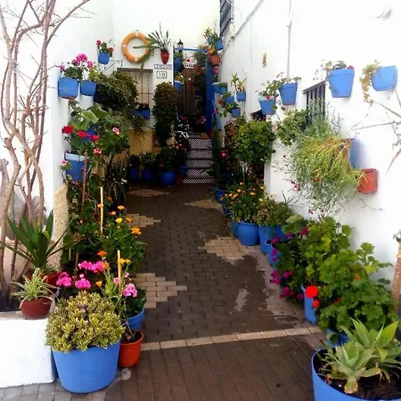 Casa Martin Conil, Viviendas En Barrio De Pescadores